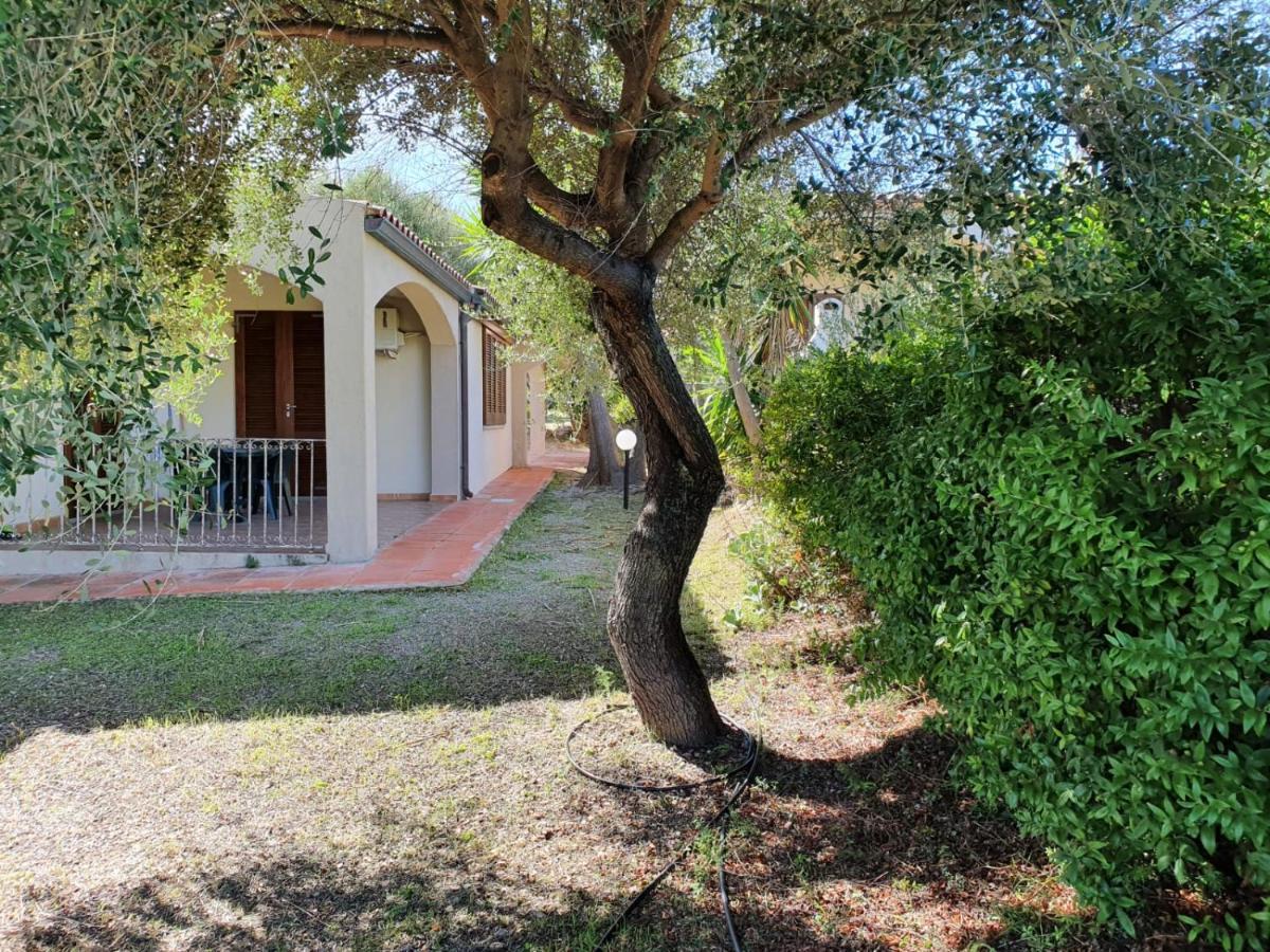 La Casa Di Spinosella Daire Valledoria  Dış mekan fotoğraf
