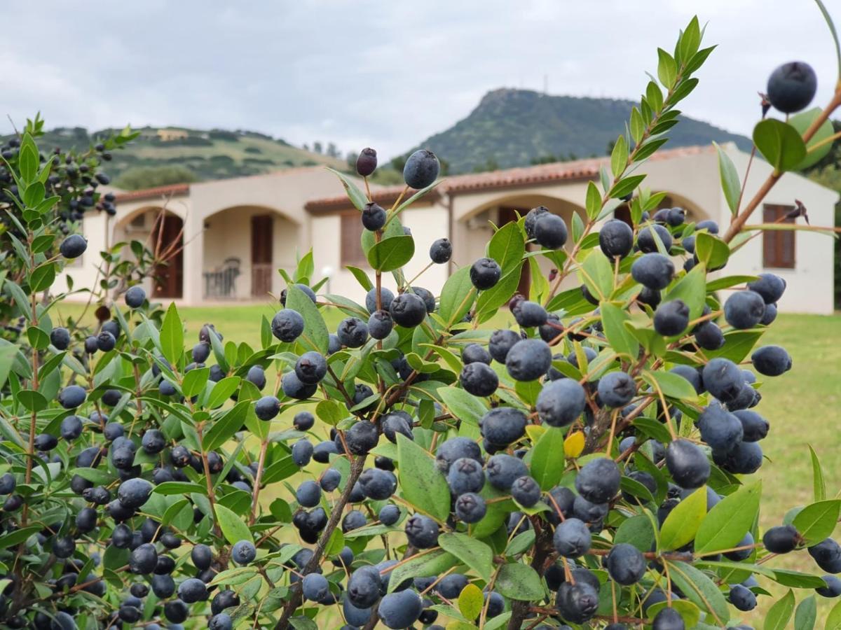 La Casa Di Spinosella Daire Valledoria  Dış mekan fotoğraf